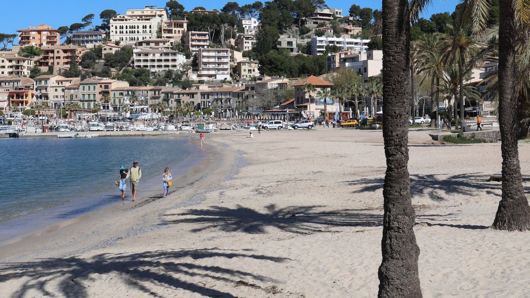 Palma