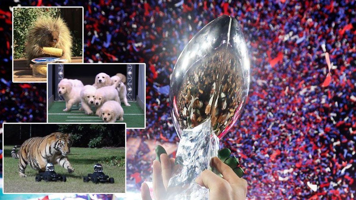Tier-Orakel-Super-Bowl-940