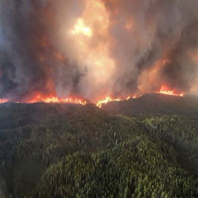 Dieses von der Regierung von Manitoba zur Verfügung gestellte Foto zeigt Waldbrände in Sherridon, Kanada. 