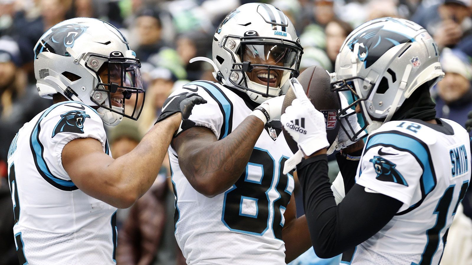 
                <strong>Noch im Playoff-Rennen in der NFC: Carolina Panthers (6-9)</strong><br>
                &#x2022; Week 17: @Buccaneers<br>&#x2022; Week 18: @Saints<br>
              