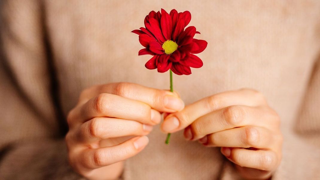 Clean und green sind nicht gleichzusetzen mit vegan! Wir haben die Fakten und verraten euch, wann ein Nagellack auch wirklich als "veganer Nagellack" gilt.