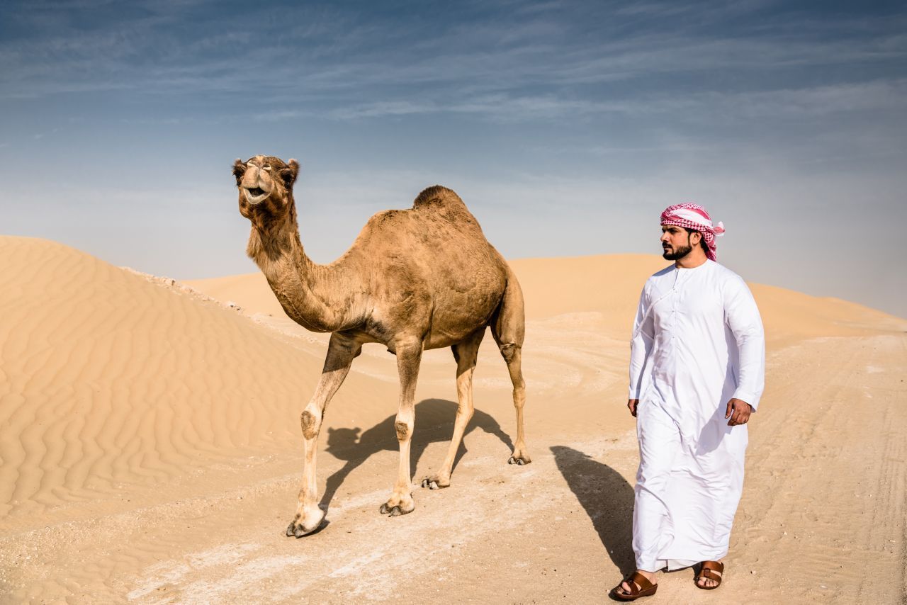 Kamele: Für Scheichs in Saudi-Arabien sind sie Statussymbole. Preise von über 1 Million Euro sind keine Seltenheit. Es gibt sogar Schönheitswettbewerbe für die Reittiere.