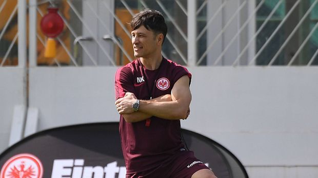 
                <strong>Eintracht Frankfurt (4.)</strong><br>
                Nach der sensationell starken Vorrunde hält Trainer Niko Kovac das Tempo hoch. "Wir müssen zusehen, dass wir uns in allen Bereichen verbessern", forderte er. Baustelle bleibt mit nur 22 Toren die Offensive. An eine Wiederholung der Rückrunde 2011 (Abstieg nach Platz 7) denkt derzeit niemand, zu diszipliniert und zu fokussiert scheinen die Hessen. Dass seine Mannschaft nicht abhebt und von einem Selbstläufer in der Rückrunde ausgeht, wird die dringlichste Aufgabe sein. ran-Form: Auf Europa-Kurs
              