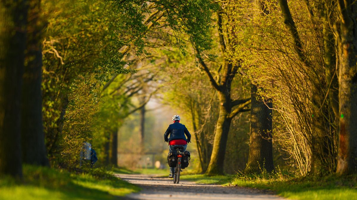 Bewegung Alltag Radfahren Kalorienverbrauch Sport Gesundheit 119160098