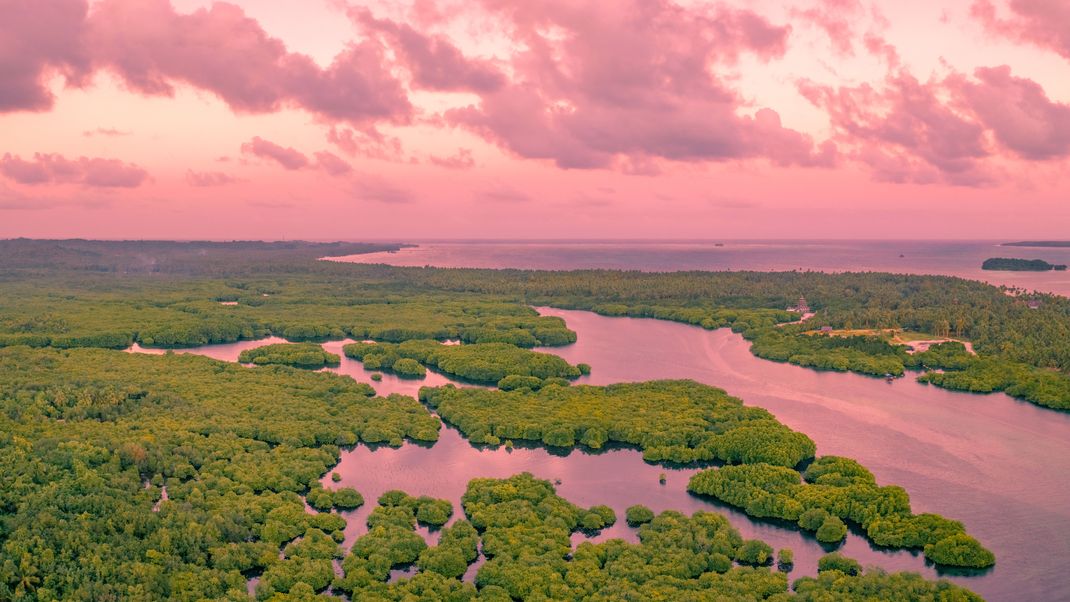 Der Amazonas ist der wasserreichste Fluss der Erde und verläuft durch mehrere südamerikanische Länder, darunter Brasilien, Bolivien, Peru und Kolumbien.