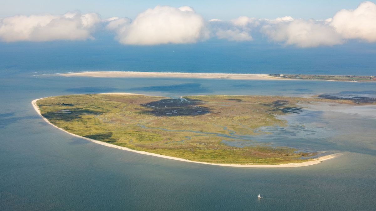 Insel Memmert in der Nähe von Norderney, Deutschland