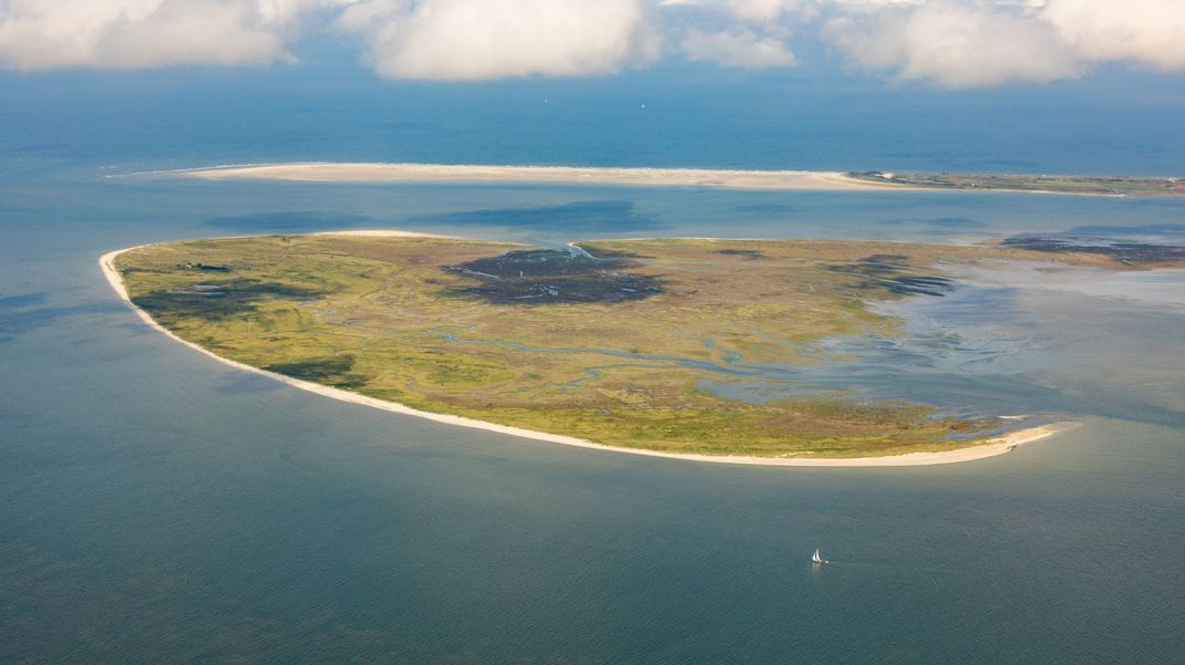 Die Insel Memmert ist ein wichtiger Brutort für viele Vogelarten.