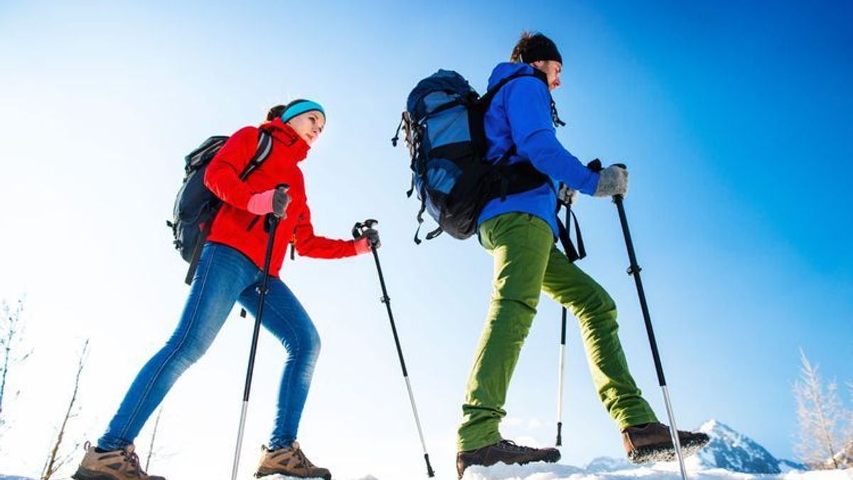 Winterwanderwege in Deutschland – Natur pur während der kalten Jahreszeit