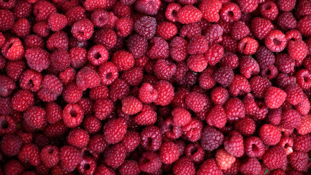 Die Supermärkte Edeka und Marktkauf rufen dazu auf, Tiefkühl-Himbeeren und andere gefrorene Beeren zurückzubringen.