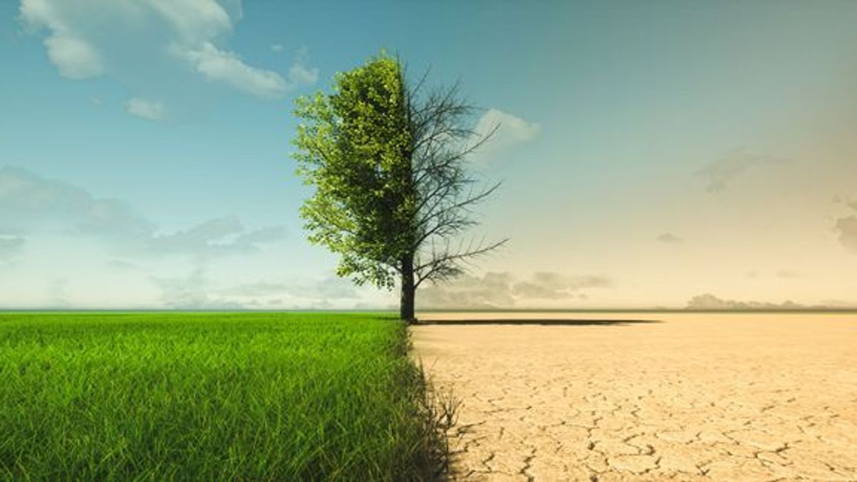 COP28: Weltklimagipfel liefert Ergebnisse – die tatsächliche Umsetzung ist essenziell
