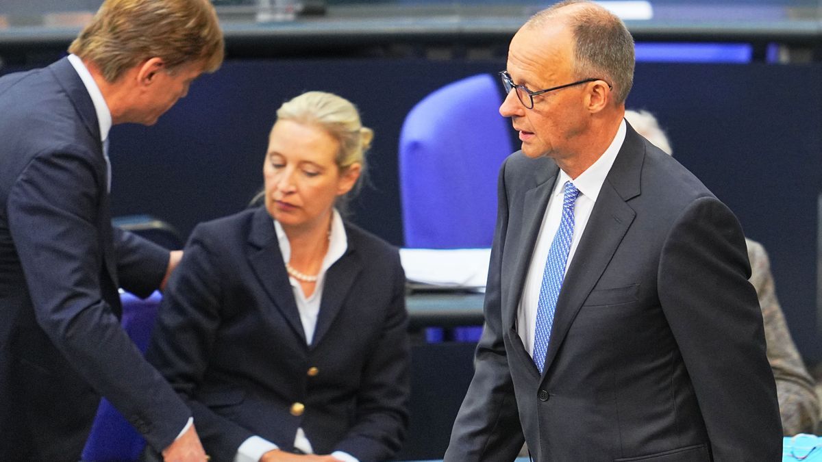 Alice Weidel, Friedrich Merz