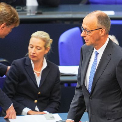 Alice Weidel, Friedrich Merz