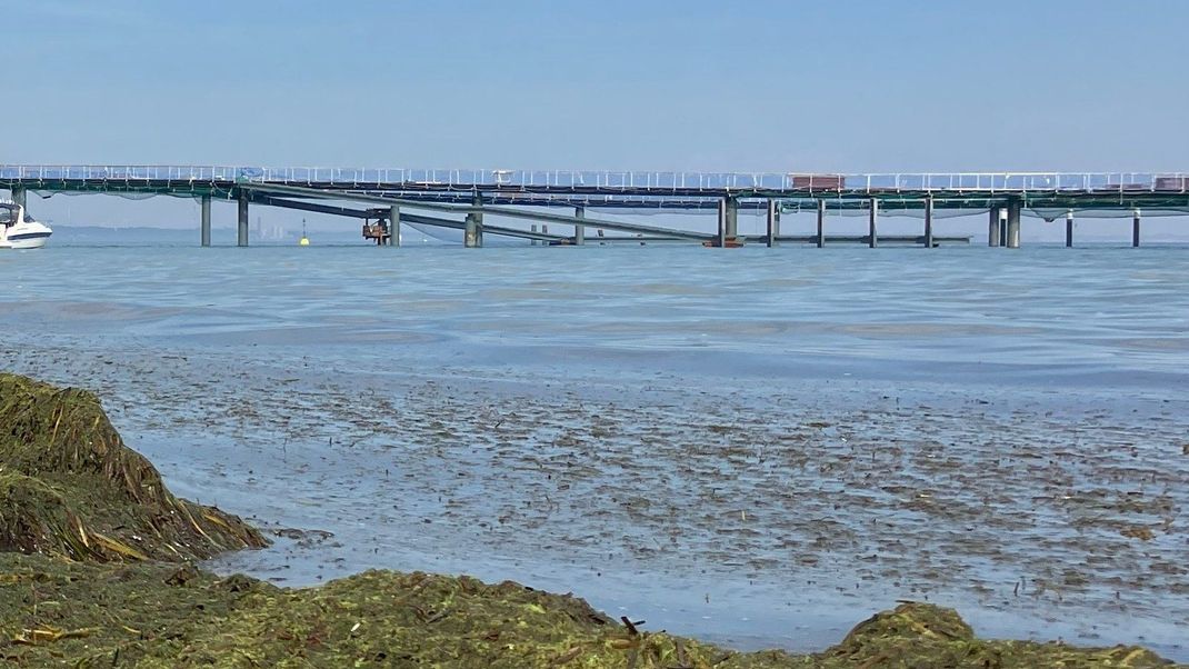 Nach dem Badeunglück in der Ostsee blieben Wiederbelebungsversuche erfolglos.