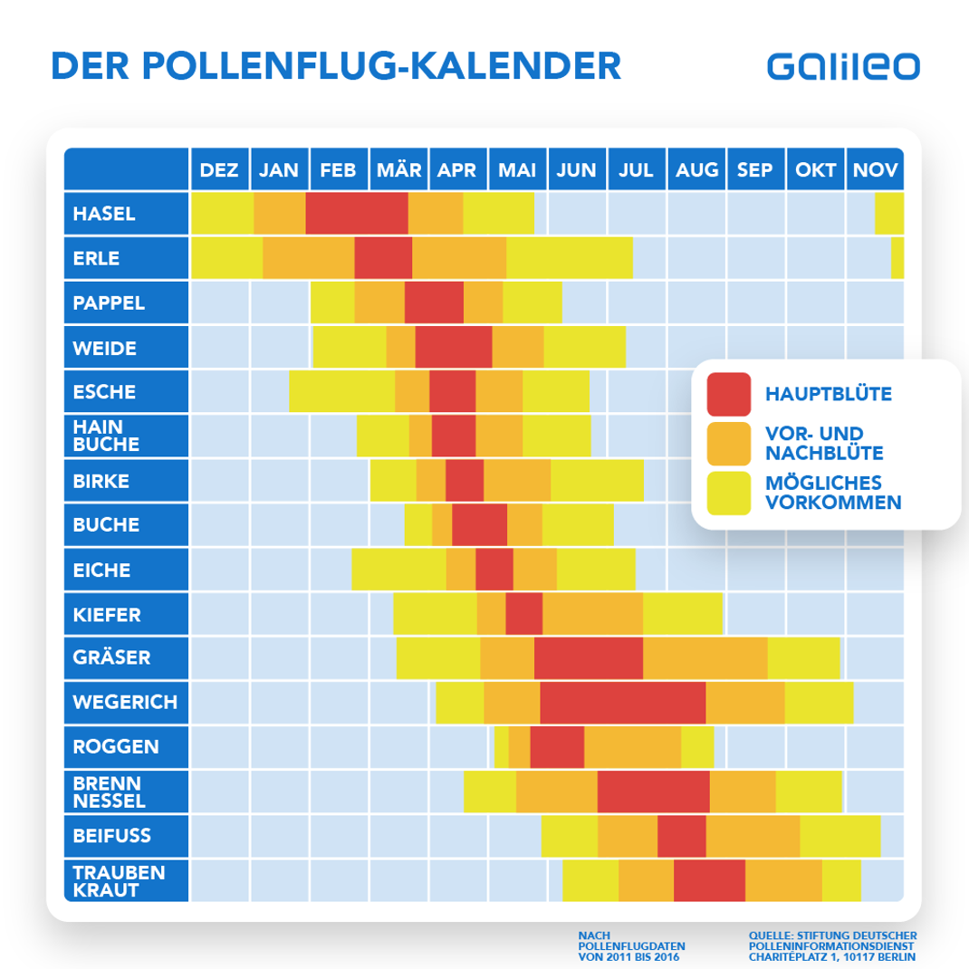 Durch die Klimaerwärmung fliegen Pollen mittlerweile fast ganzjährig herum. Sogar im Winter, wenn es ungewöhnlich mild ist. Der Pollenflug-Kalender ist dennoch eine gute Orientierung für Allergiker:innen.