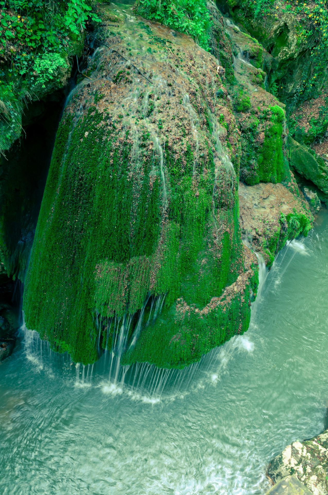 Durch das Wasser, das die mit Moos bewachsenen Felsen hinabfließt, zählt der Bigar Wasserfall im Westen Rumäniens zu den spektakulärsten Wasserfällen der Welt.