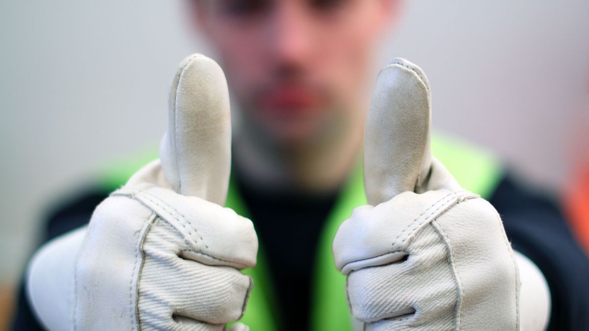 Handschuhe: Der wichtige Schutz bei Haus- und Gartenarbeiten