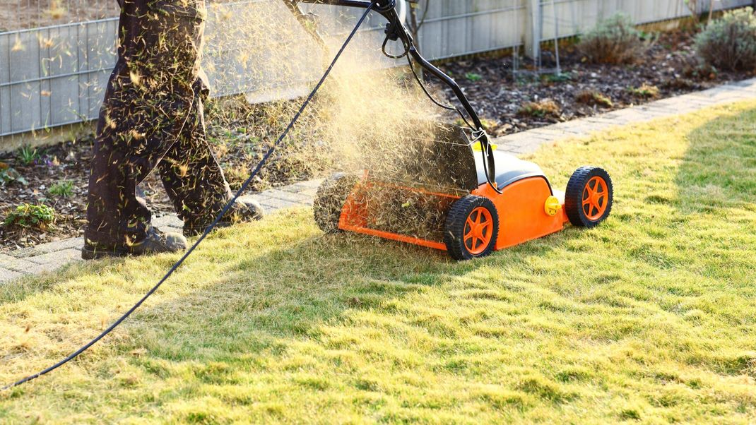 Um deinen Rasen nach dem Winter schnell wieder in Form zu bringen, solltest du zuerst einmal mähen und alle losen Rasenstücke entfernen.