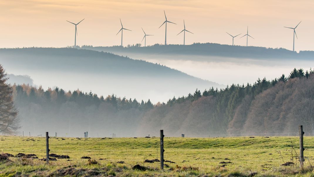 Windkraft wichtigste Energiequelle in Deutschland bereits seit 2023