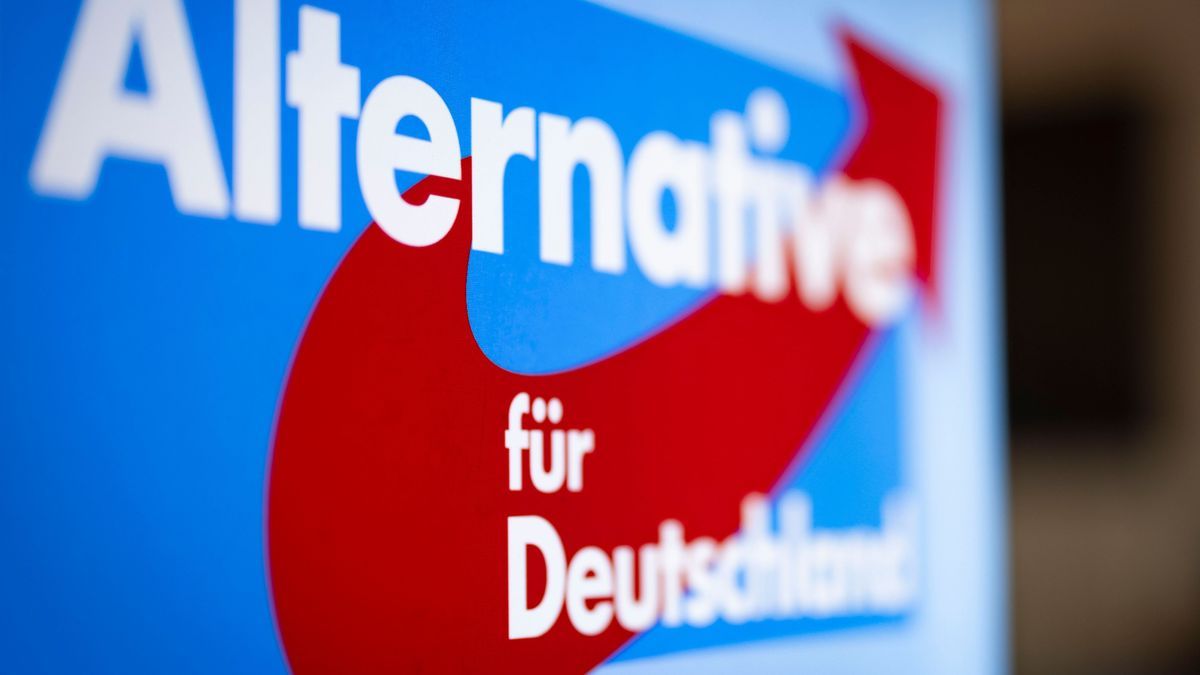 Eine Berlinerin soll der AfD eine hohe Summe vermacht haben.