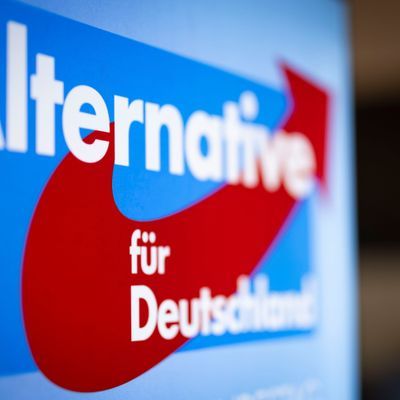 Eine Berlinerin soll der AfD eine hohe Summe vermacht haben.