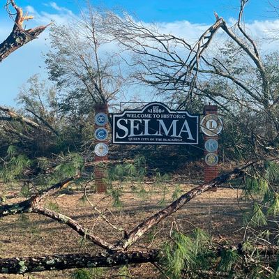 Nach Tornados in den USA: Todesopfer und schwere Schäden