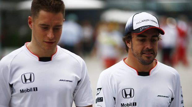
                <strong>Nobody macht Fernando Alonso platt</strong><br>
                Stoffel Vandoorne gilt als eines der größten Talente. Der Belgier wird zwar bei McLaren-Honda wie zuvor erwähnt nur um die goldene Ananas fahren, dabei aber Fernando Alonso platt machen. Während Vandoorne in seiner ersten kompletten Saison (er ersetzte den damals verletzten Alonso 2016 in Bahrain) heiß und hungrig sein wird, hat Alonso endgültig die Nase voll davon, im Mittelfeld herumzugurken. Da er so nicht abtreten will und sein Vertrag ausläuft, schaut er sich nach adäquaten Alternativen um. Nach Hamiltons Rücktritt wird bei Mercedes ja was frei.
              