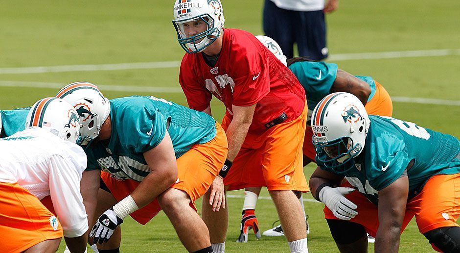 
                <strong>Miami Dolphins</strong><br>
                2012: Miami Dolphins
              