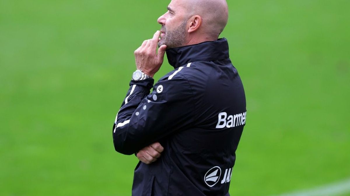 Peter Bosz: "Ich brauche Qualität"