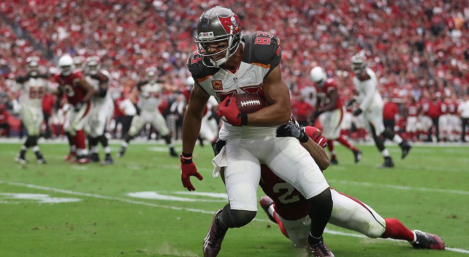 
                <strong>Vincent Jackson (Free Agent)</strong><br>
                Nach seiner Knieverletzung im vergangenen Jahr ist Vincent Jackson immer noch auf der Suche nach einem neuen Team. Der ehemalige Receiver der Tampa Bay Buccaneers hätte mit seinen 34 Jahren die nötige Erfahrung. Aber auch noch immer die nötige Schnelligkeit?
              