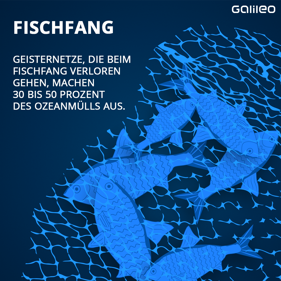 Geisternetze, die beim Fischfang verloren gehen, machen 30 bis 50 Prozent des Ozeanmülls aus.