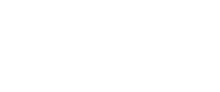 Playbrush