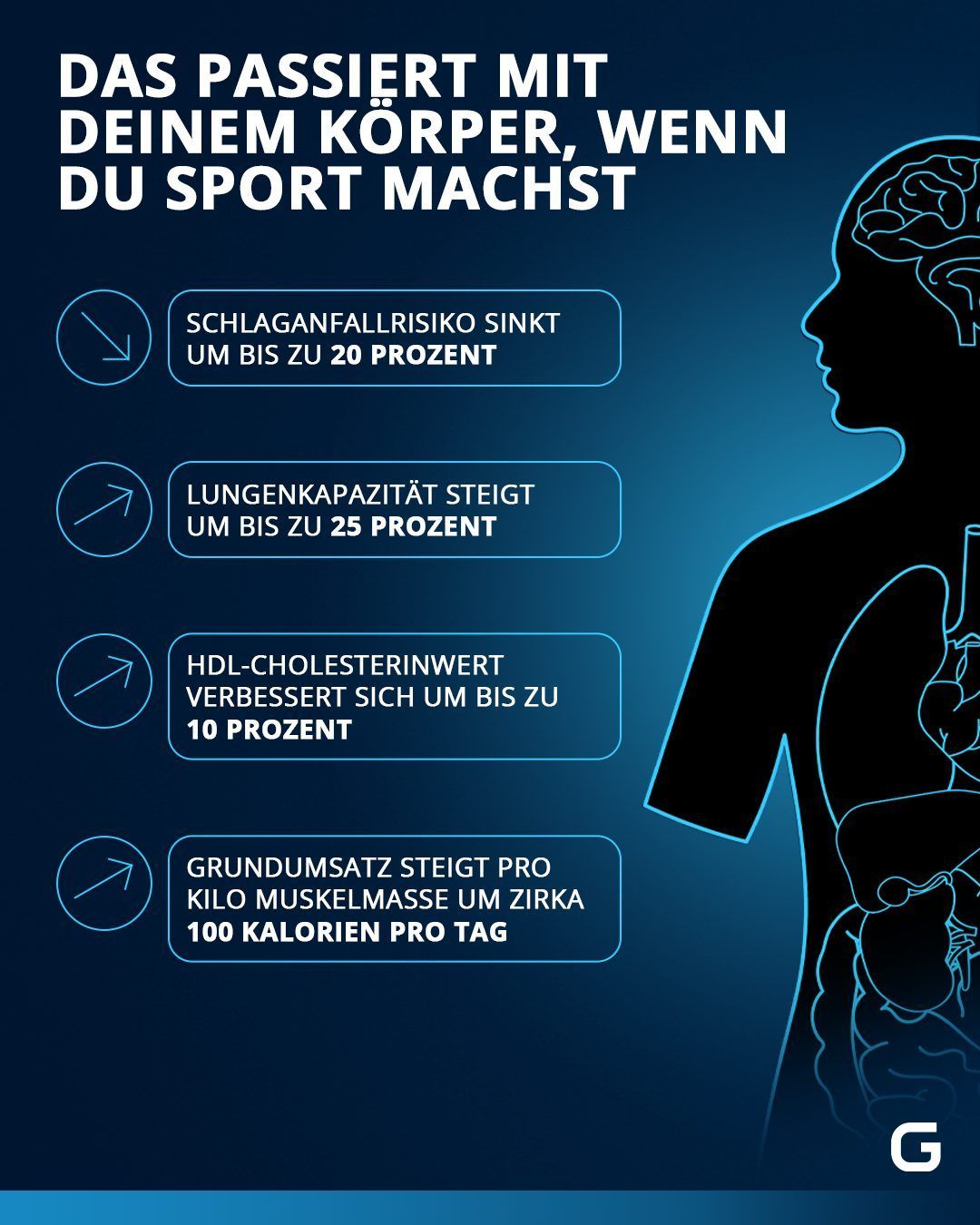 Das passiert mit deinem Körper, wenn du Sport machst in Bezug auf das Schlaganfallrisiko, die Lugenkapazität, den Cholesterinwert und den Kalorien-Grundumsatz.