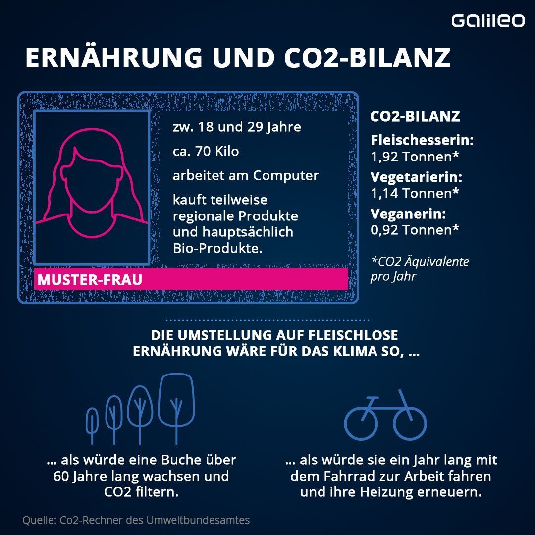 So wirkt sich die Ernährung auf die CO2-Bilanz aus. 