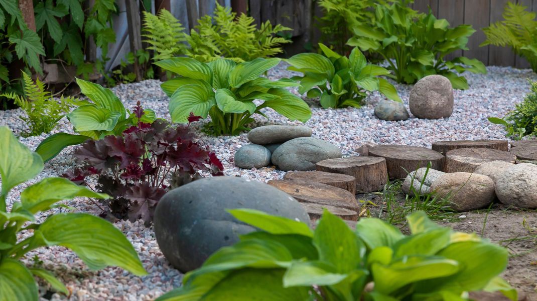 Ein Steingarten kann dein Zuhause charmanter wirken lassen und schön aufwerten.