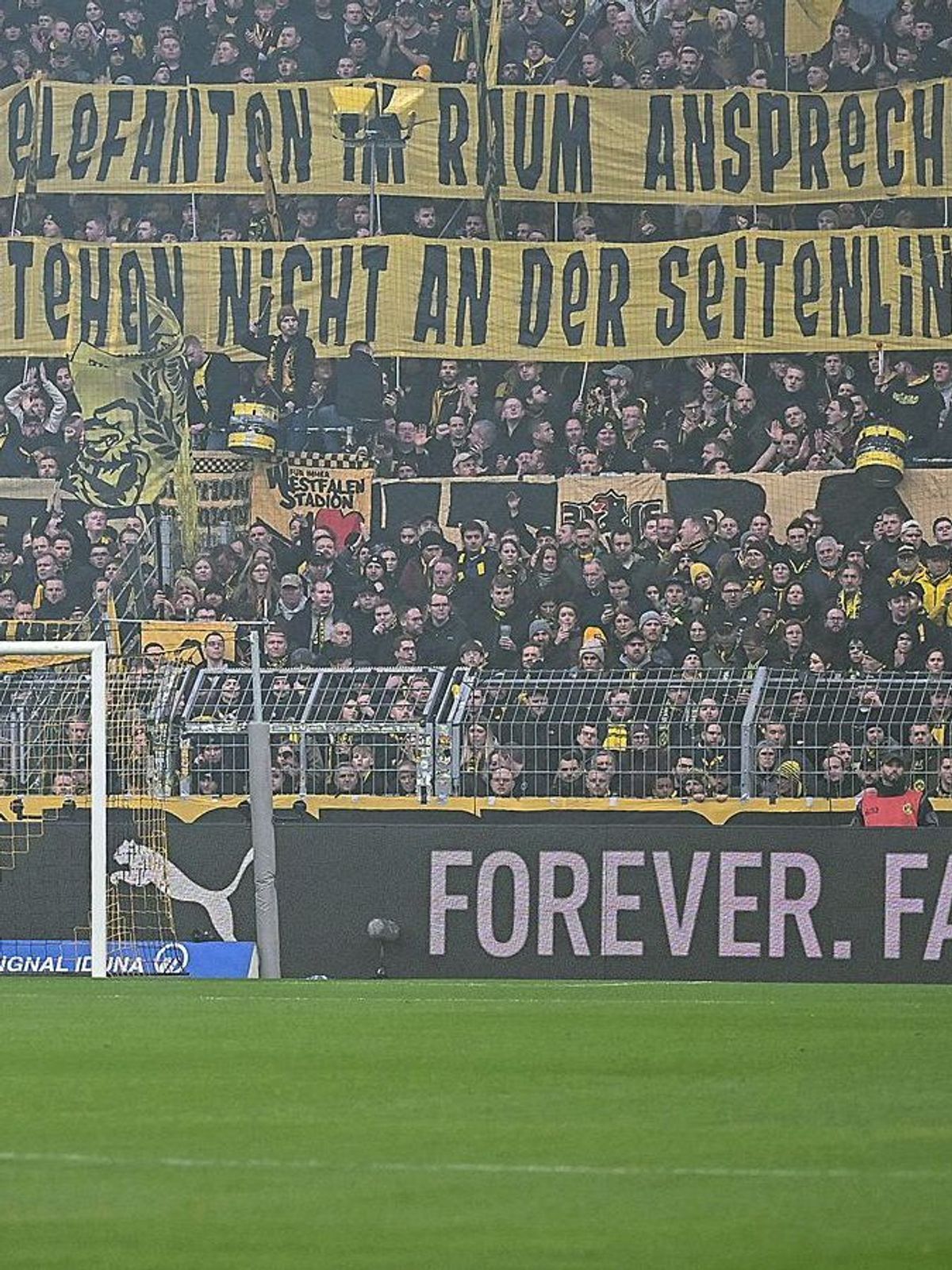 Borussia Dortmund Kritik Fans Vereinsführung