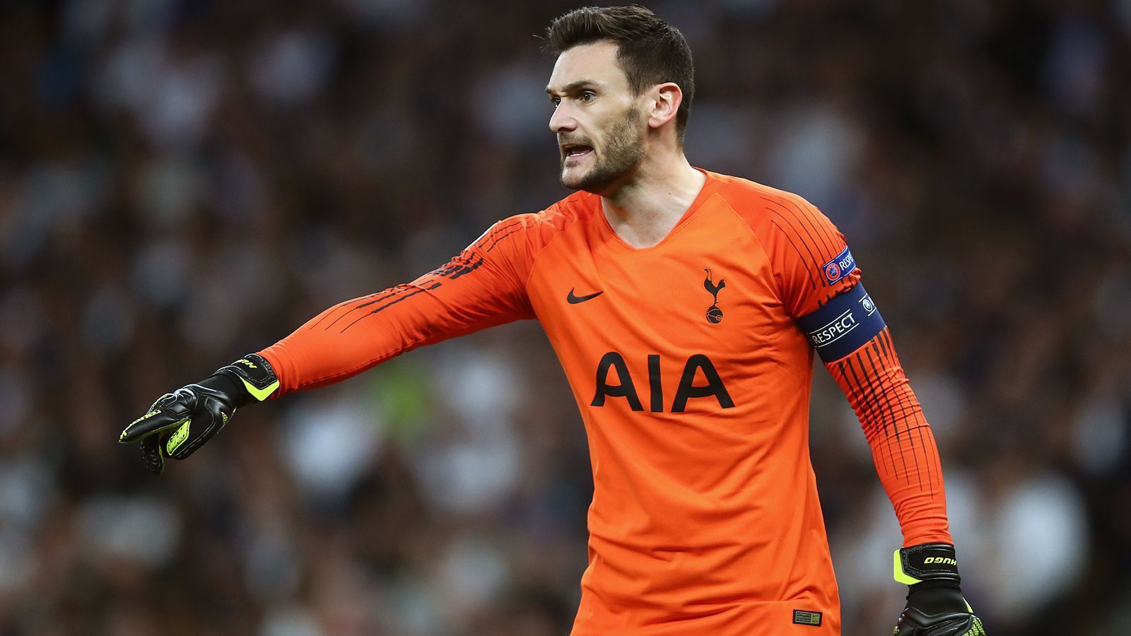 
                <strong>Tor - Hugo Lloris (Tottenham Hotspur)</strong><br>
                Ablöse: 13,6 Millionen EuroVerpflichtet von: Olympique Lyon
              