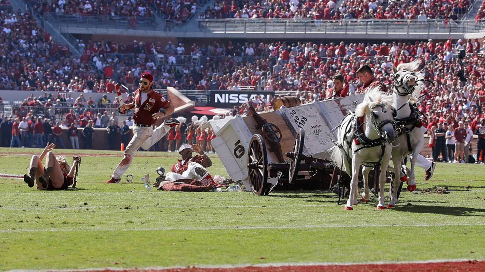 
                <strong>Schooner-Crash</strong><br>
                Erst in der vergangenen Woche baute der "Sooner Schooner" den größten Unfall seiner Maskottchen-Laufbahn. Bei der Einfahrt der Pferdekutsche zur Feier eines Touchdowns nahm der Wagenlenker die Kurve zu scharf. Das gesamte Gefährt verlor die Balance und fiel auf die Seite (hier im Video). Glücklicherweise blieben alle Beteiligten und das Pferdegespann unverletzt und kamen mit einem Schrecken davon. Anders der "Sooner Schooner" selbst. Der sei einem Verantwortlichen der Universität zufolge "out for the season", wird also diese Saison nicht mehr zum Einsatz kommen. Zuletzt war der "Sooner Schooner" 1993 gecrasht.
              