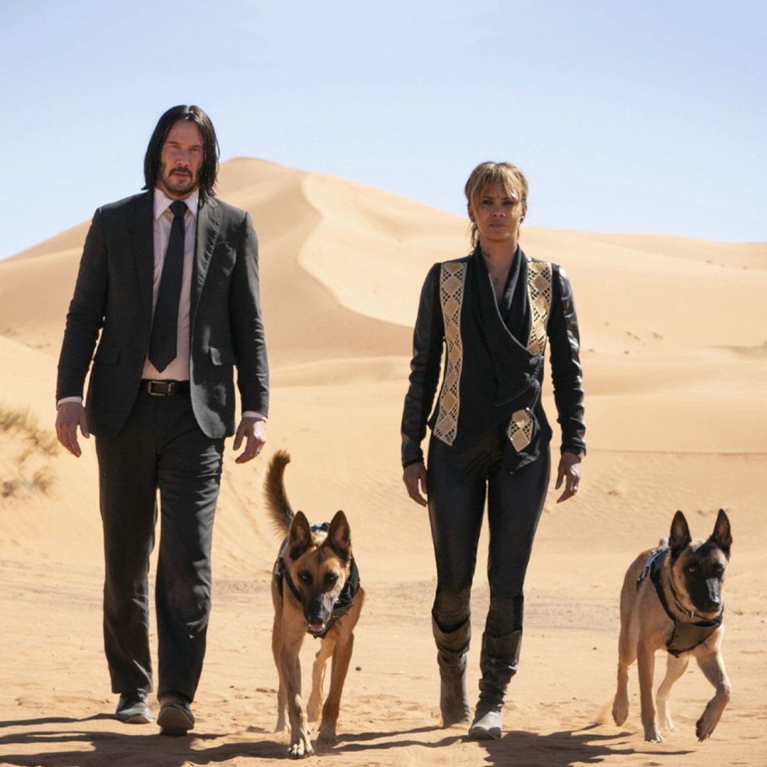 Verpasse nicht "John Wick: Kapitel 3" bei Joyn PLUS+