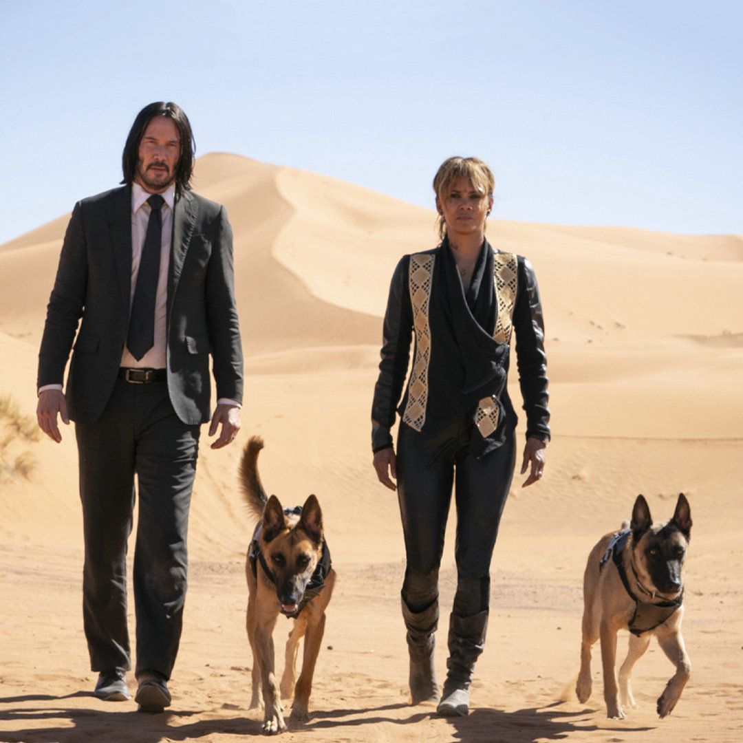 "John Wick: Kapitel 3" bei Joyn PLUS+ streamen