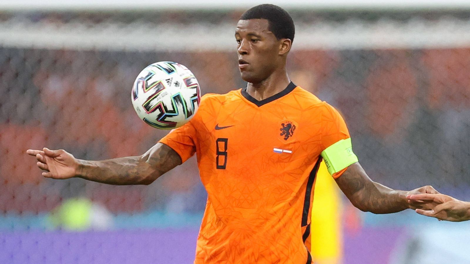 
                <strong>Auch bei Georginio Wijnaldum bleiben die Bayern passiv</strong><br>
                Auch ein weiterer Oranje-Star stand bei den Bayern auf dem Zettel. Kapitän Georginio Wijnaldum zeigt bei der Europameisterschaft derzeit, wie wichtig er im Mittelfeld für eine Mannschaft sein kann und brilliert mit starken Leistungen. Kontakt soll es vor einigen Wochen gegeben haben, letztendlich zogen sich die Münchener aber zurück. Der Grund: Wijnaldums Handgeld und Gehalt seien zu hoch. 
              