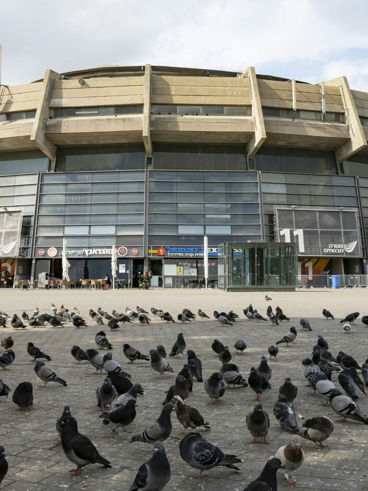 Maccabi soll in die Menora Mivtachim Arena zurückkehren