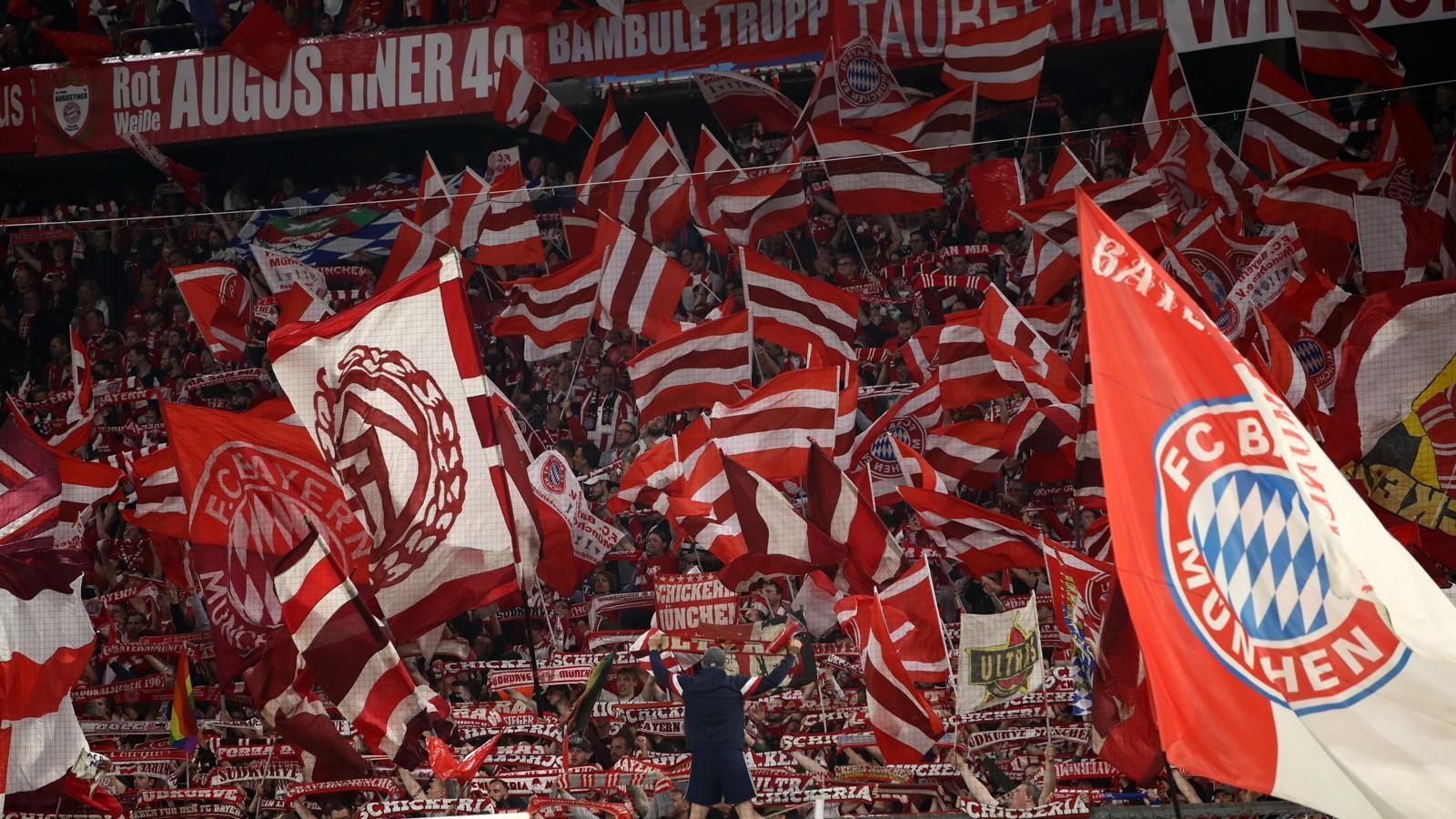 
                <strong>Platz 1: FC Bayern München</strong><br>
                290.000 Mitglieder
              