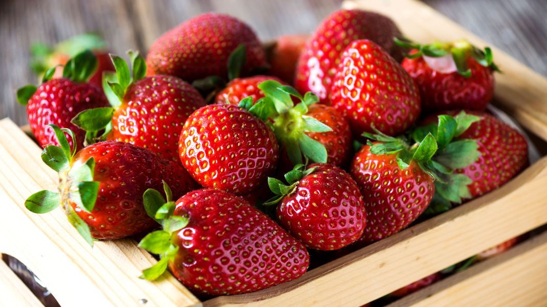 Wer Erdbeeren richtig lagert, hat länger was von den Köstlichkeiten. Was es zu beachten gilt, liest du hier.