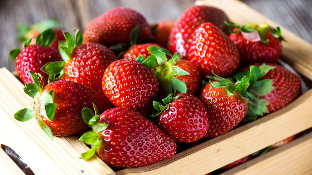 Wer Erdbeeren richtig lagert, hat länger was von den Köstlichkeiten. Was es zu beachten gilt, liest du hier.