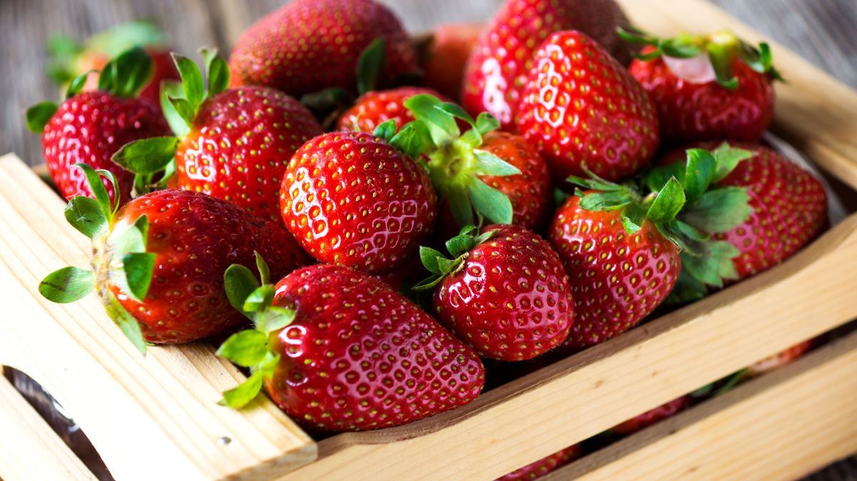 Erdbeeren lagern - Teaser