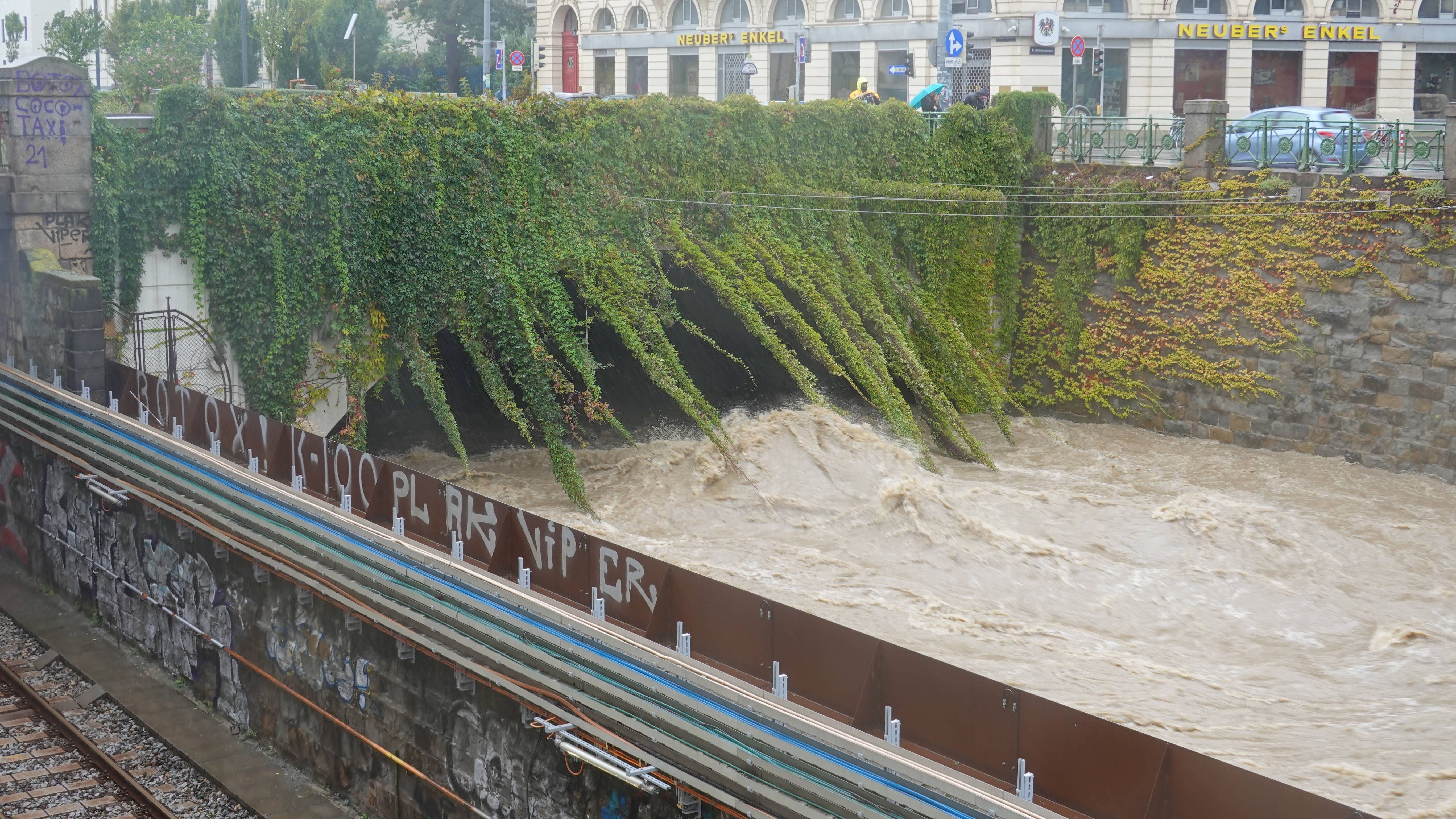 Der Wienfluss in Österreichs Hauptstadt Wien ist aufgrund der Regenmassen deutlich angestiegen.