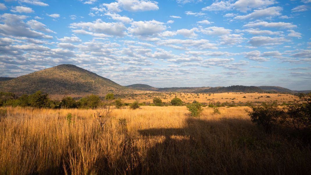 Die Leiche des getöteten Deutschen wurde in einem Gebüsch im Pilanesberg-Nationalpark gefunden.