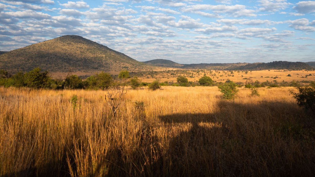Pilanesberg