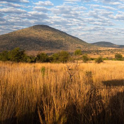 Pilanesberg