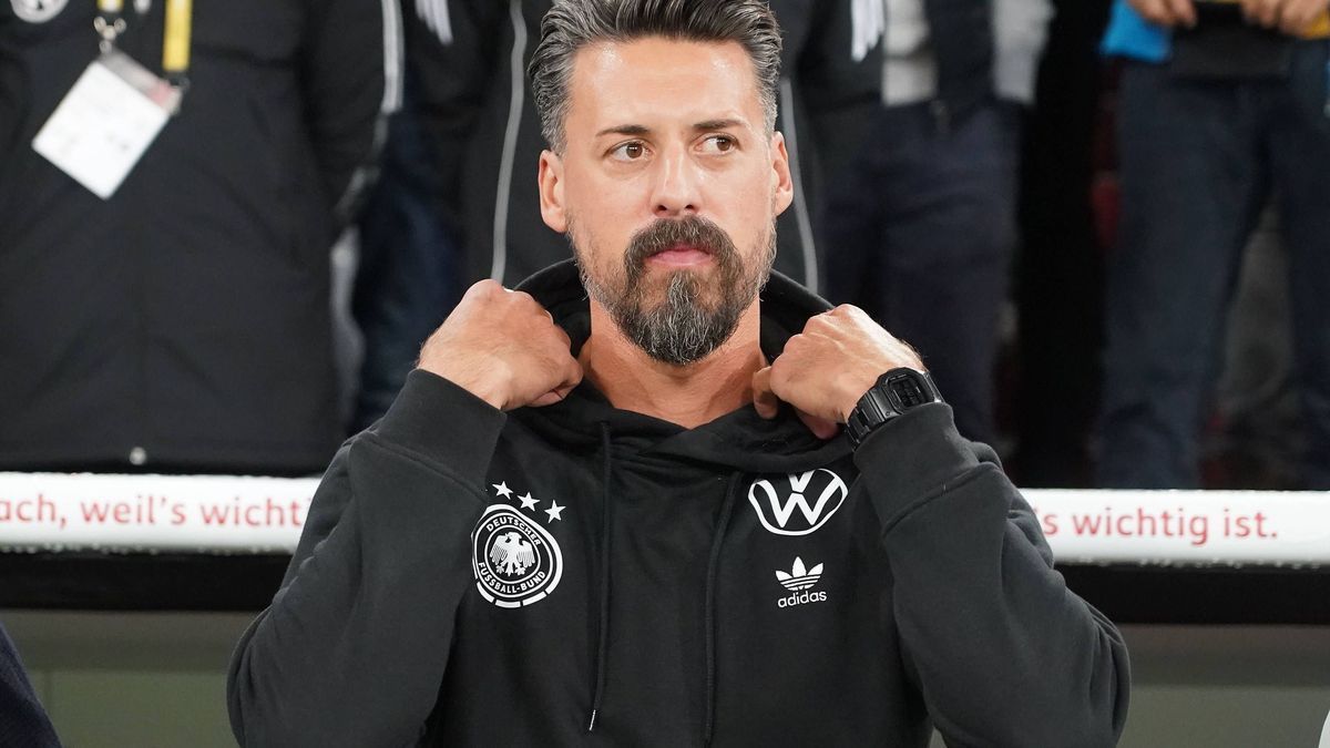 sandro wagner